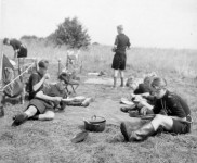 1946 Zeehonden 014 600x599