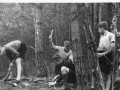 1946 kamp Epen Bevers werken aan boomhut 3833 600x409