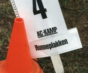 1994 AC kamp 12771 399x600