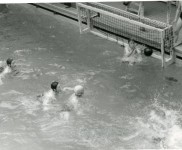 1957 AC40 waterpolotoernooi 8505 800x549