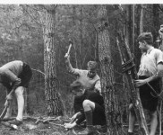 1946 kamp Epen Bevers werken aan boomhut 3833 600x409