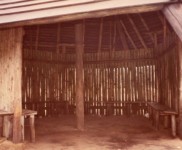 1981 ACkamp Lille 9082 800x544