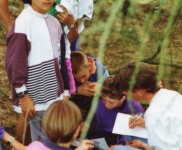 1990 AC kamp 12412 386x600