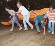 1993 AC kamp 12644 800x498